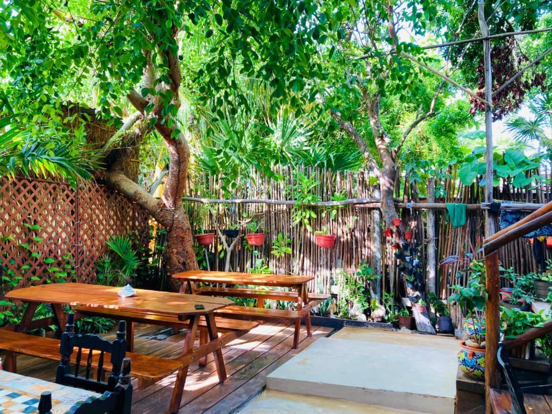 Hostal Holbox Exterior photo